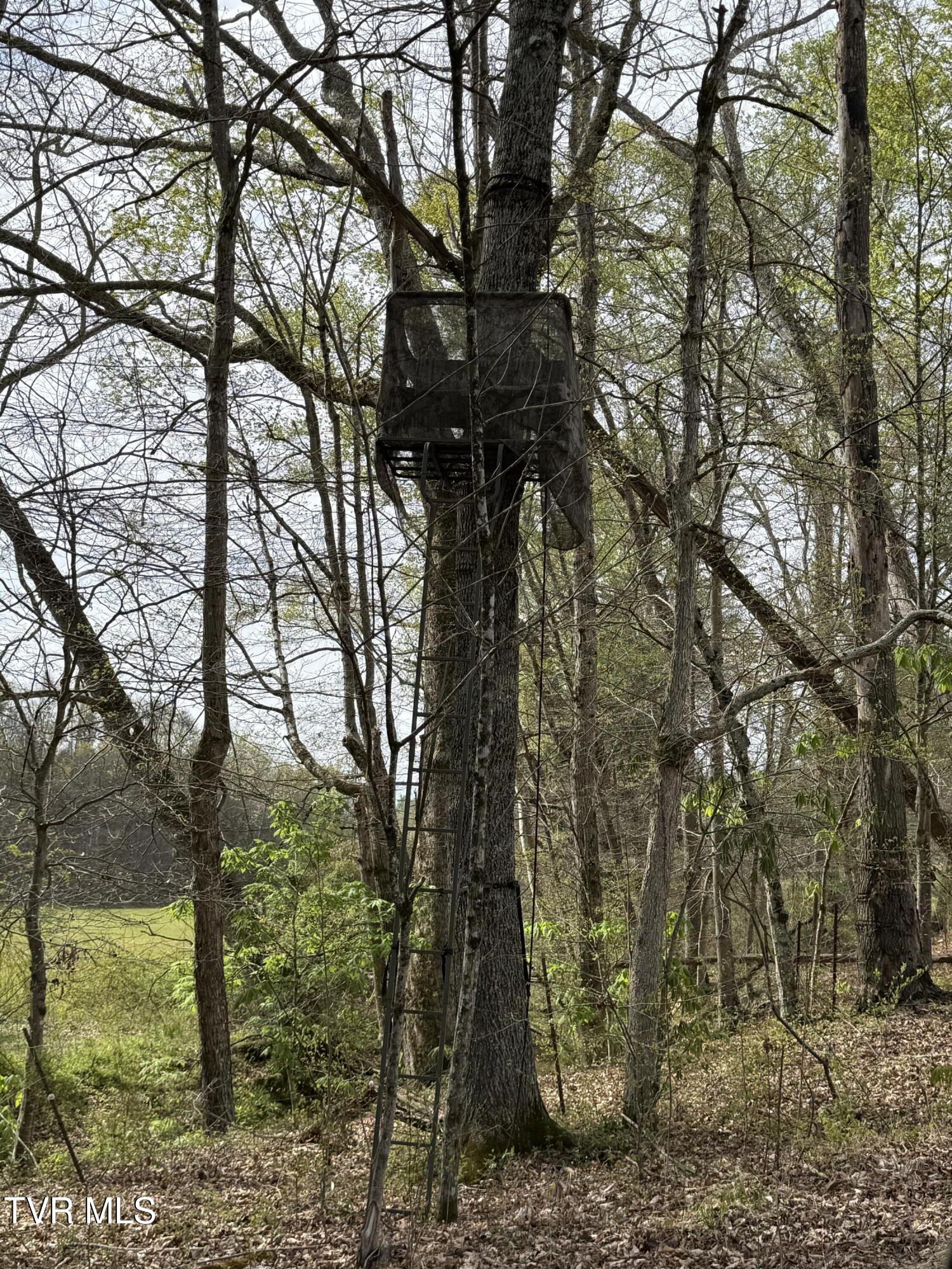 887 Berry Road, Bulls Gap, Tennessee image 32