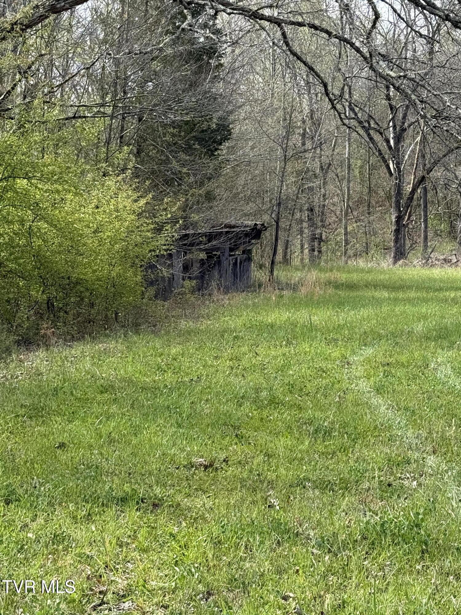 887 Berry Road, Bulls Gap, Tennessee image 30