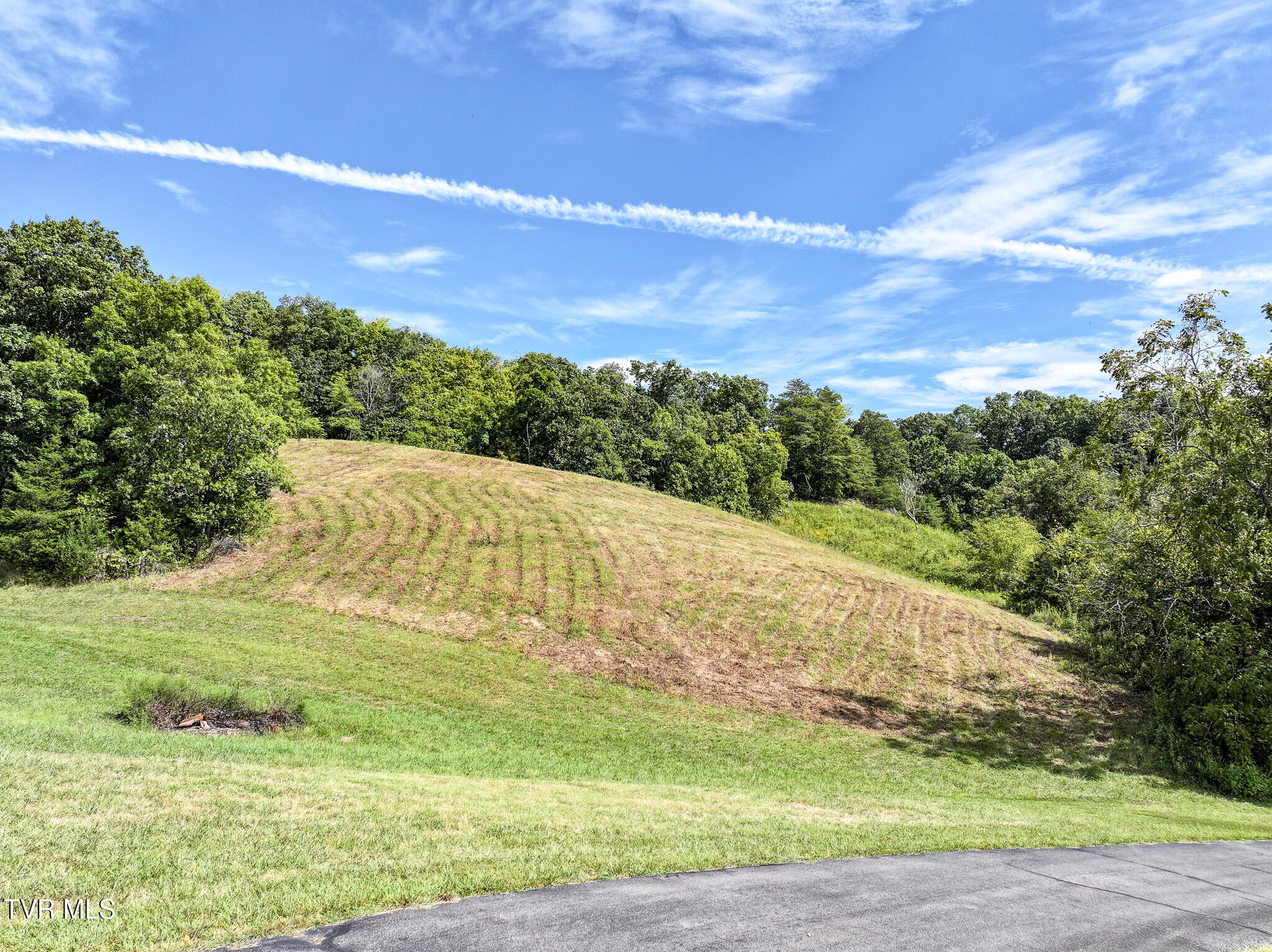 887 Berry Road, Bulls Gap, Tennessee image 12