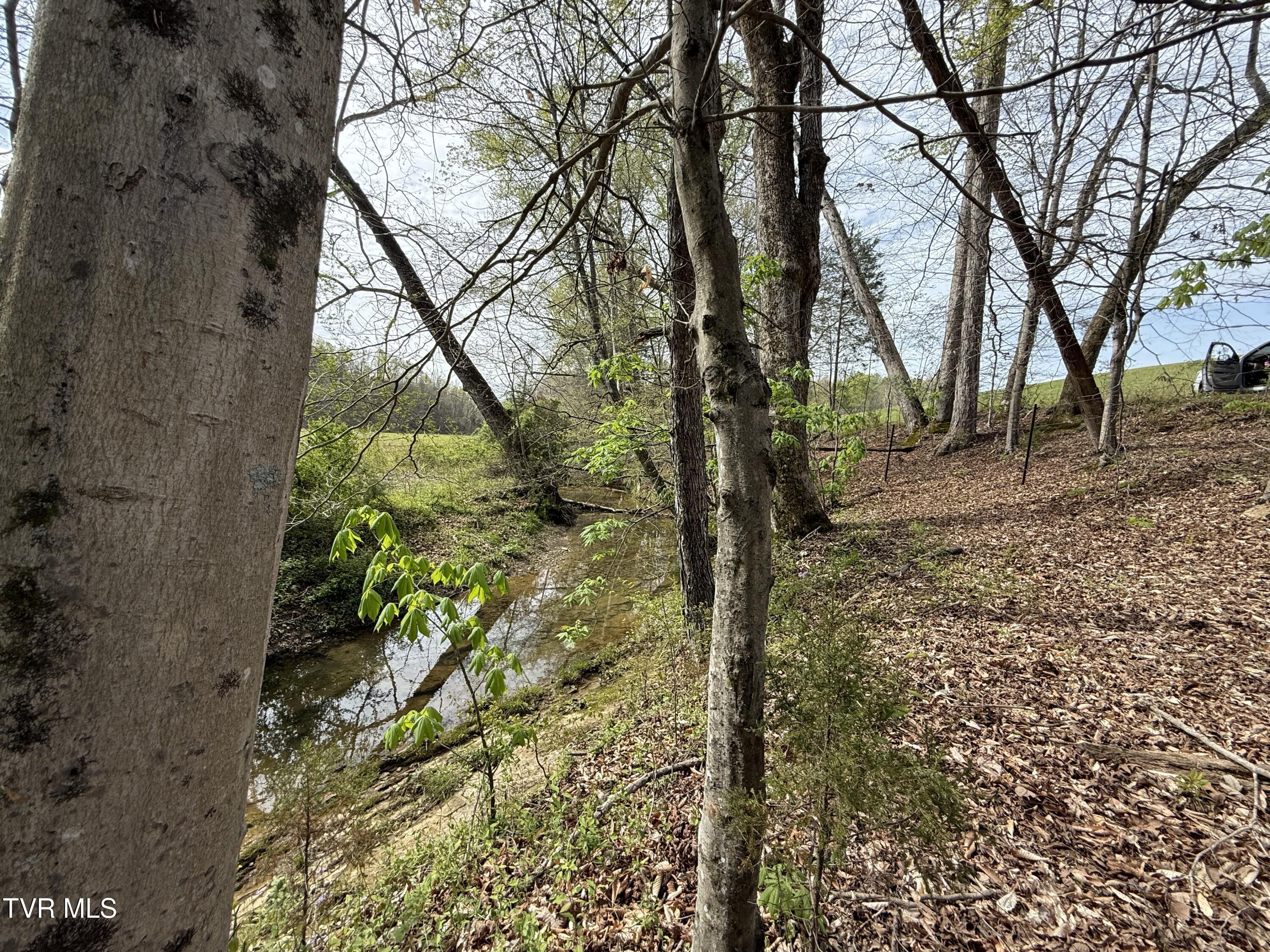 887 Berry Road, Bulls Gap, Tennessee image 39