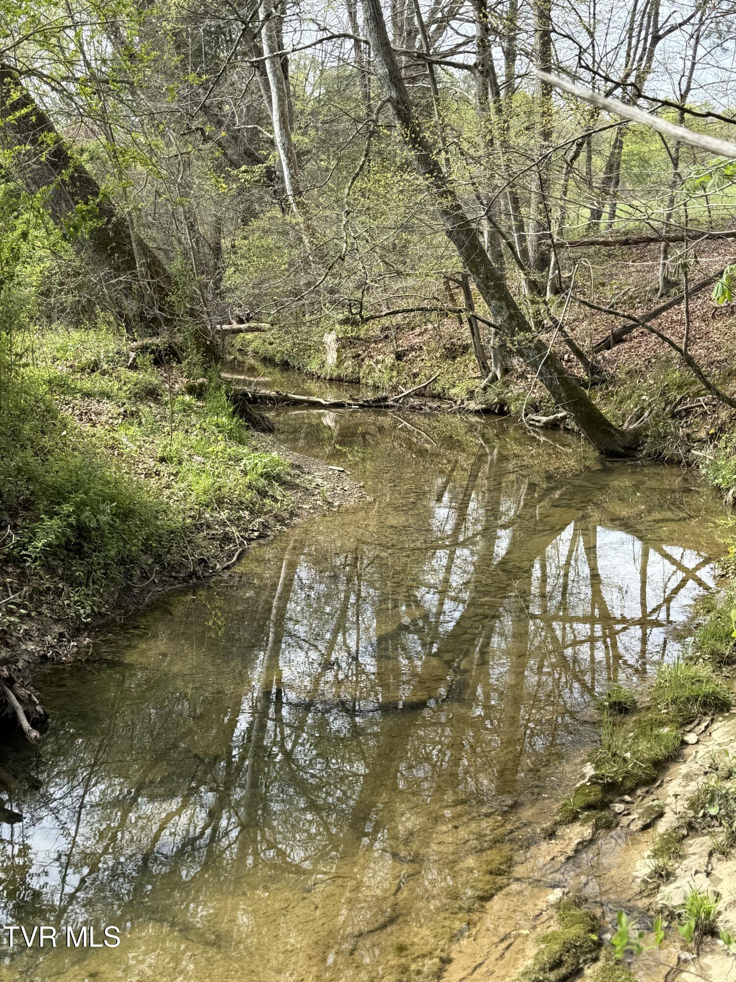 887 Berry Road, Bulls Gap, Tennessee image 34
