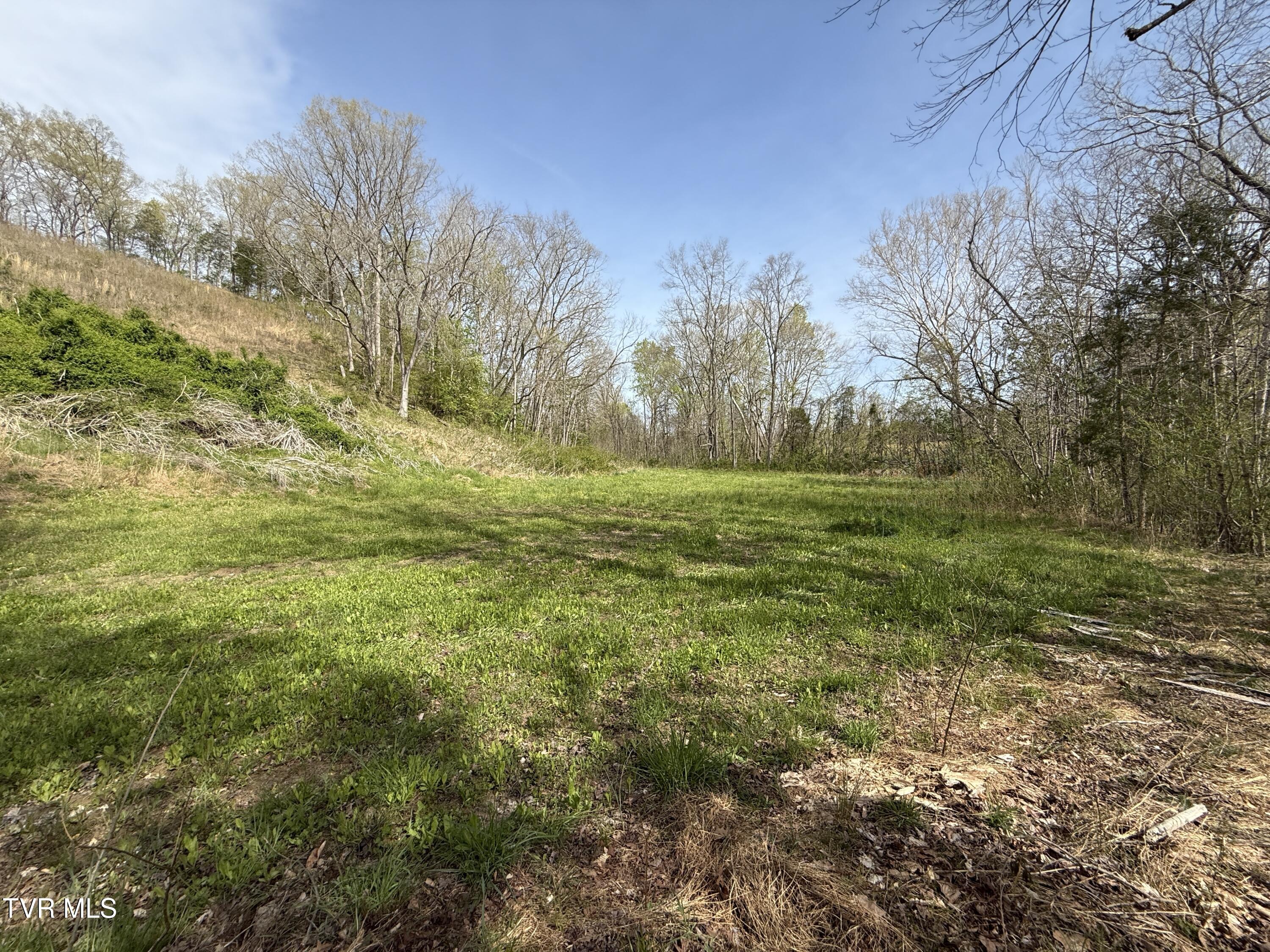 887 Berry Road, Bulls Gap, Tennessee image 31