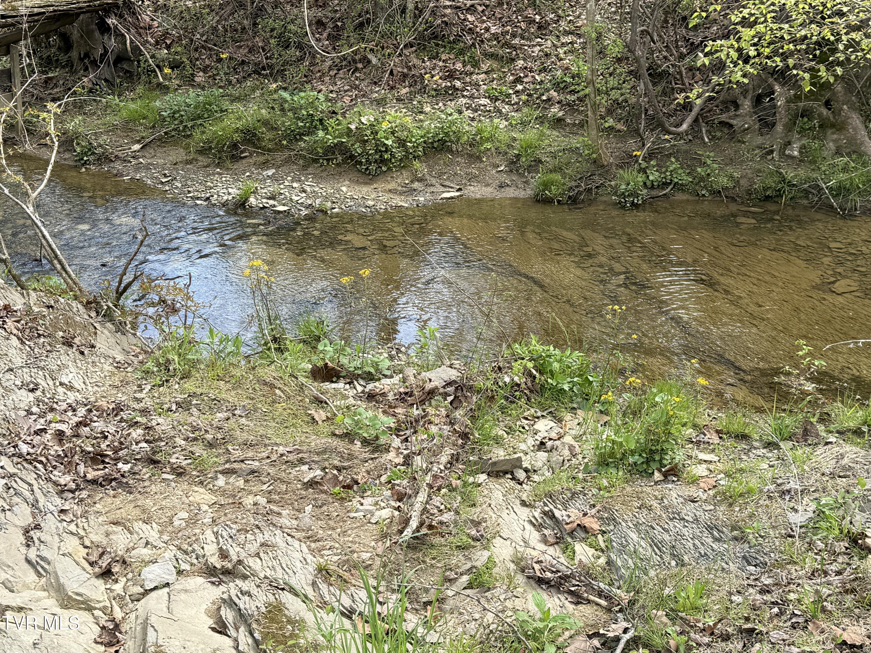 887 Berry Road, Bulls Gap, Tennessee image 42