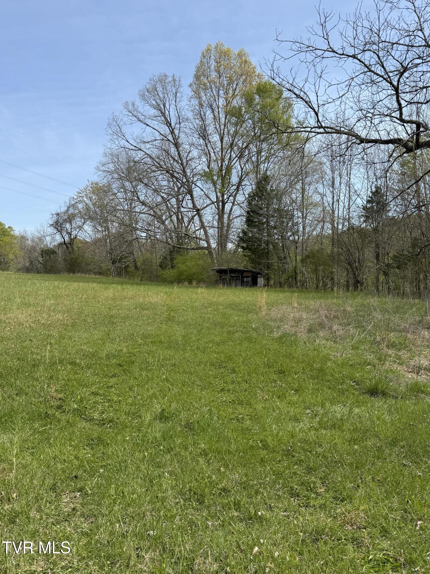 887 Berry Road, Bulls Gap, Tennessee image 47