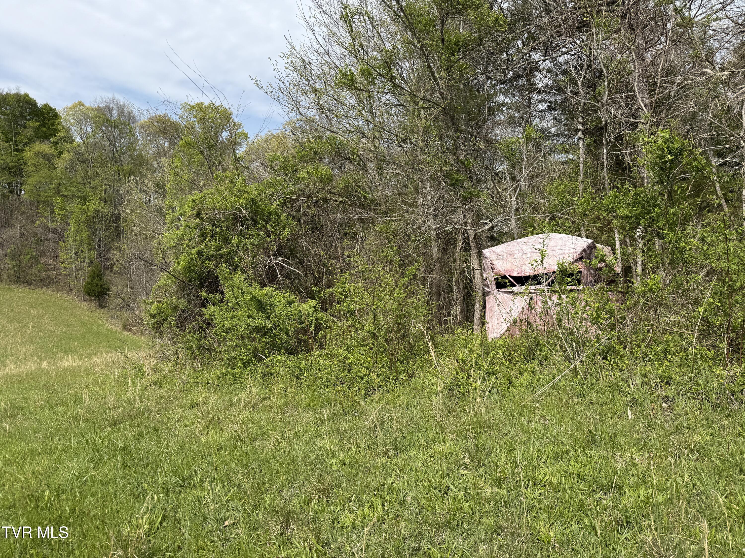 887 Berry Road, Bulls Gap, Tennessee image 49