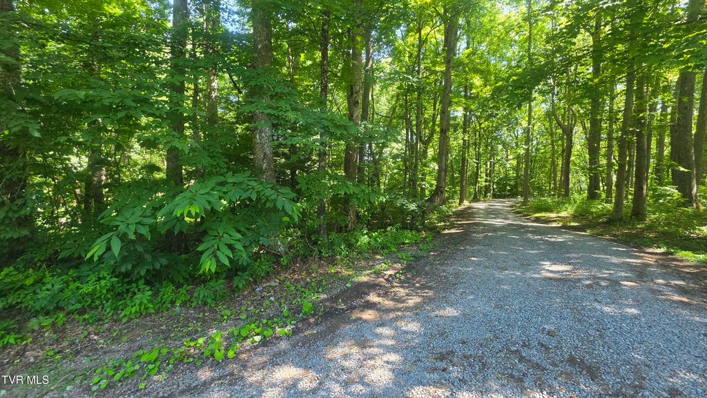 Photo of Tbd Forest Road, Coeburn, VA 24230 (MLS # 9998236)