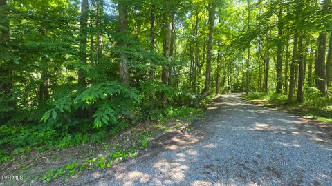 Vacant Land For Sale - TBD Forest Road<br/> Wise County, Coeburn, VA 24230