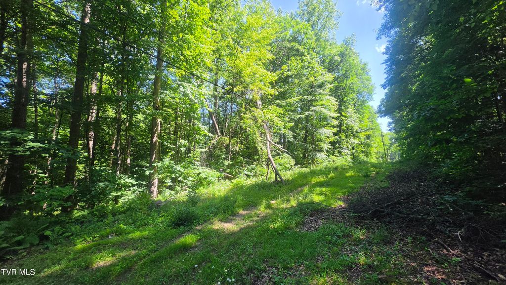Photo of Tbd Forest Road, Coeburn, VA 24230 (MLS # 9998236)