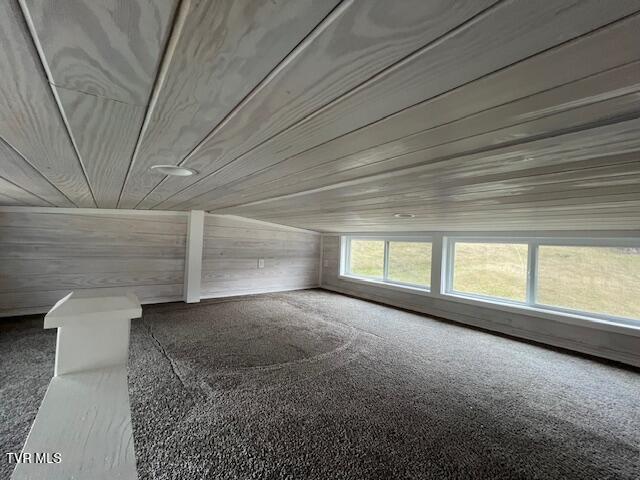 1131 Cold Springs Rd, Mountain City, Tennessee image 10