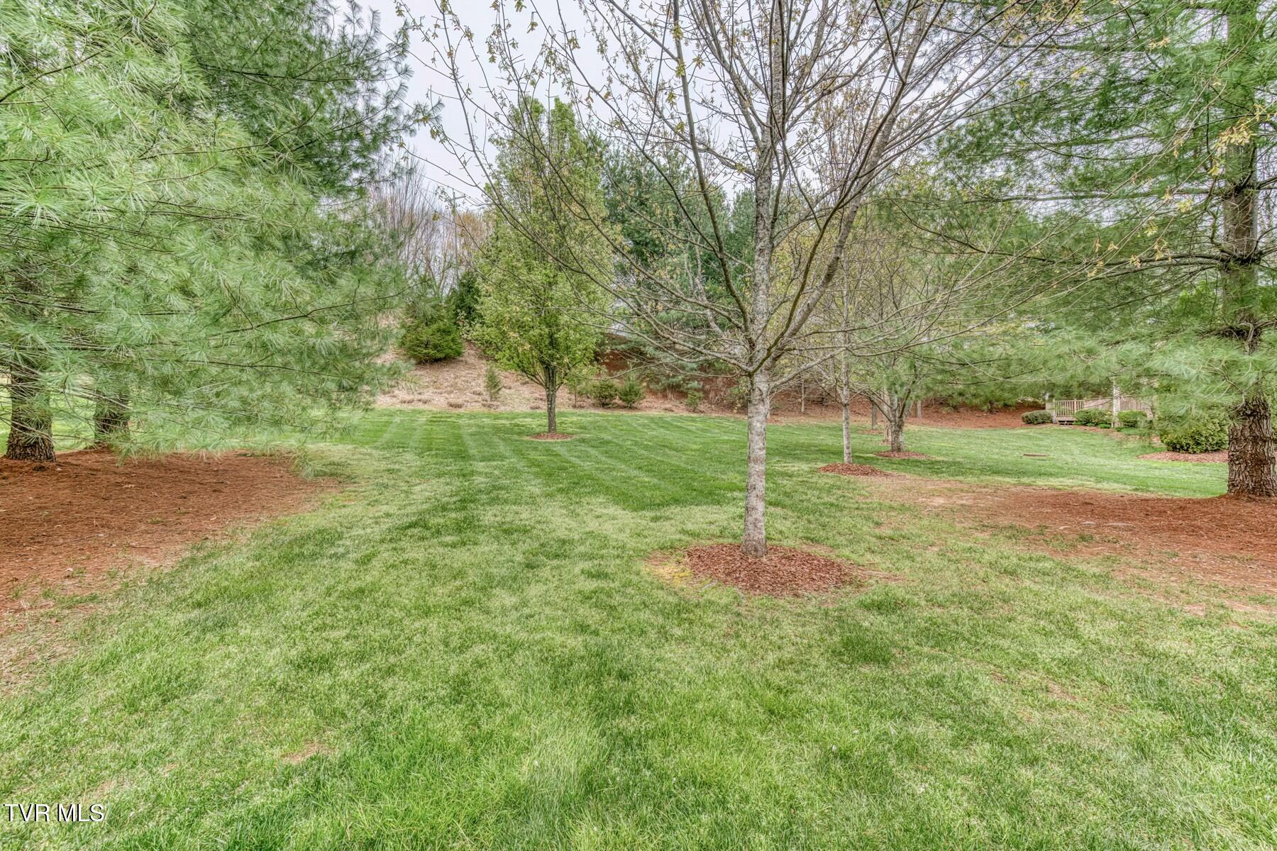 94 Cypress Ridge Court, Jonesborough, Tennessee image 50