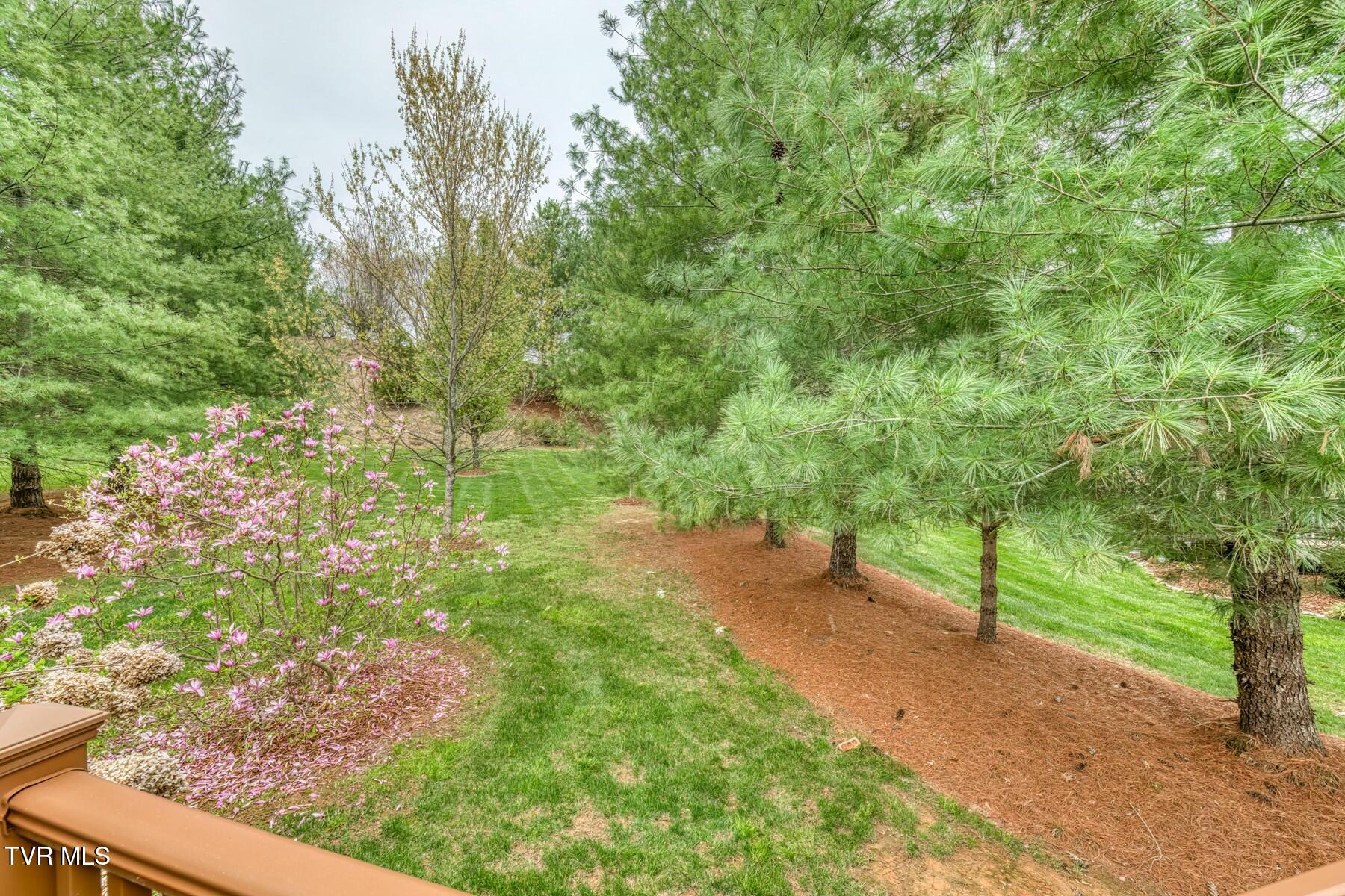 Jonesborough, Tennessee 37659, United States, 4 Bedrooms Bedrooms, ,3 BathroomsBathrooms,Residential,Active,102265