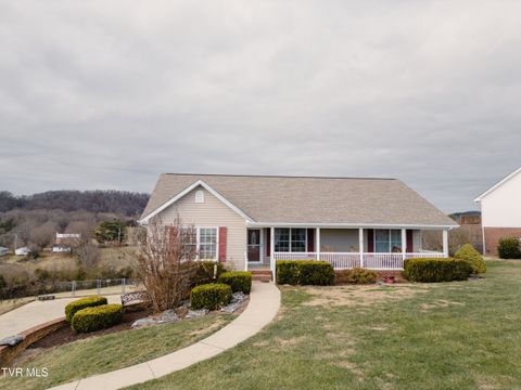 381 East Ridges Drive Chuckey TN 37641