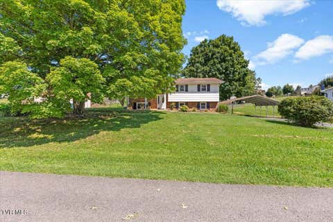 Homes For Sale - 255 Norwood Drive<br/> Washington County, Bristol, VA 24201