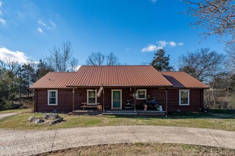 Photo of 2715 Old Stage Road, Afton, TN 37616 (MLS # 9990427)