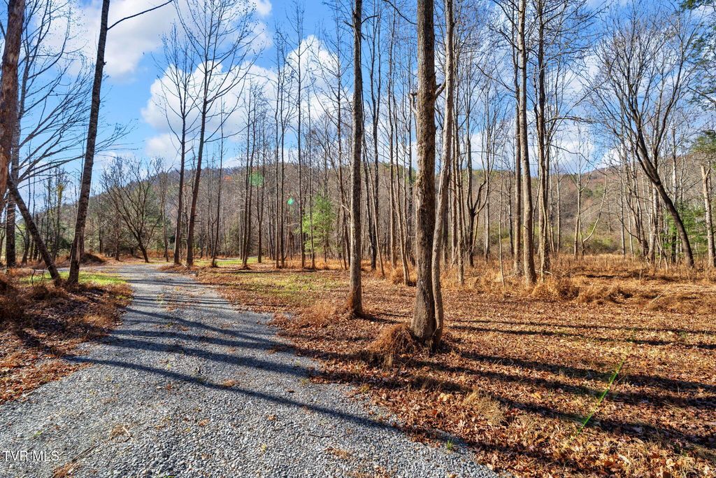 Photo of Tbd Mcinturff Springs Road, Erwin, TN 37650 (MLS # 9988493)