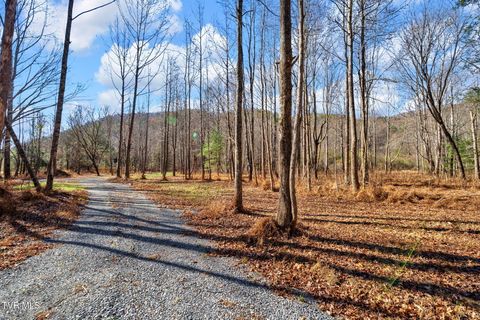 Vacant Land For Sale - TBD Mcinturff Springs Road<br/> Unicoi County, Erwin, TN 37650