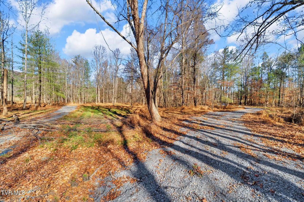Photo of Tbd Mcinturff Springs Road, Erwin, TN 37650 (MLS # 9988493)