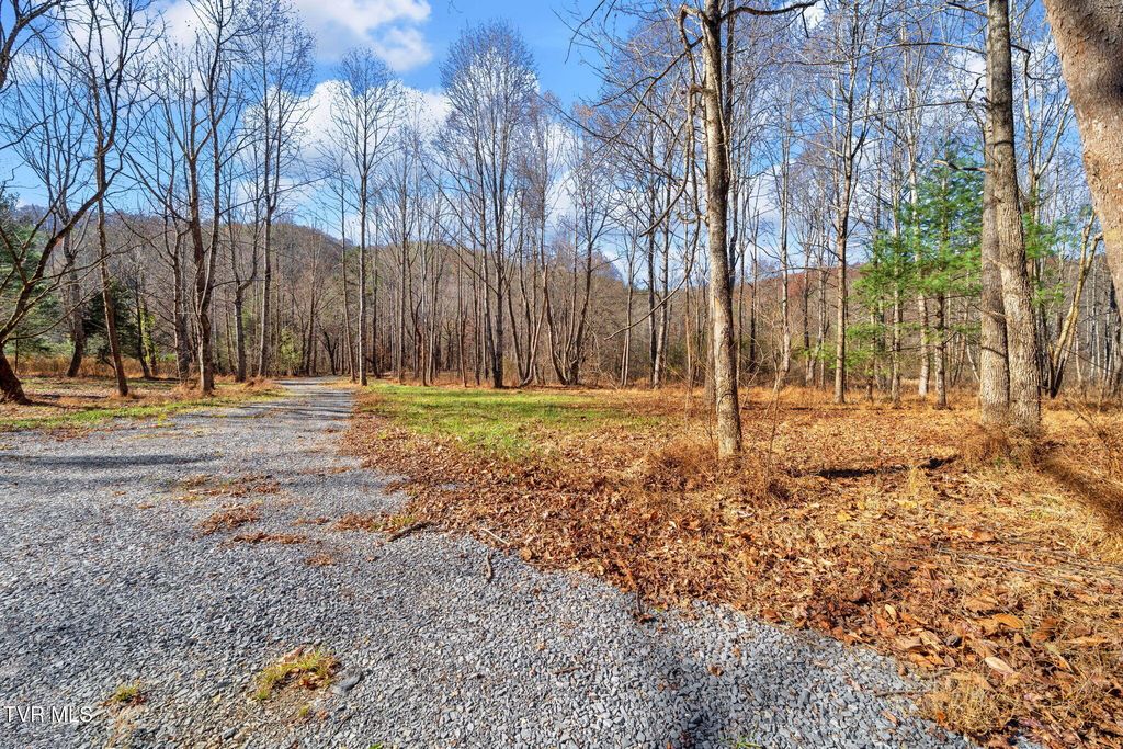 Photo of Tbd Mcinturff Springs Road, Erwin, TN 37650 (MLS # 9988493)