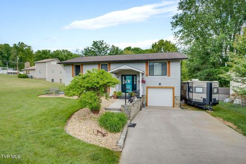 Photo of 107 Summerview Court, Kingsport, TN 37663 (MLS # 9994945)