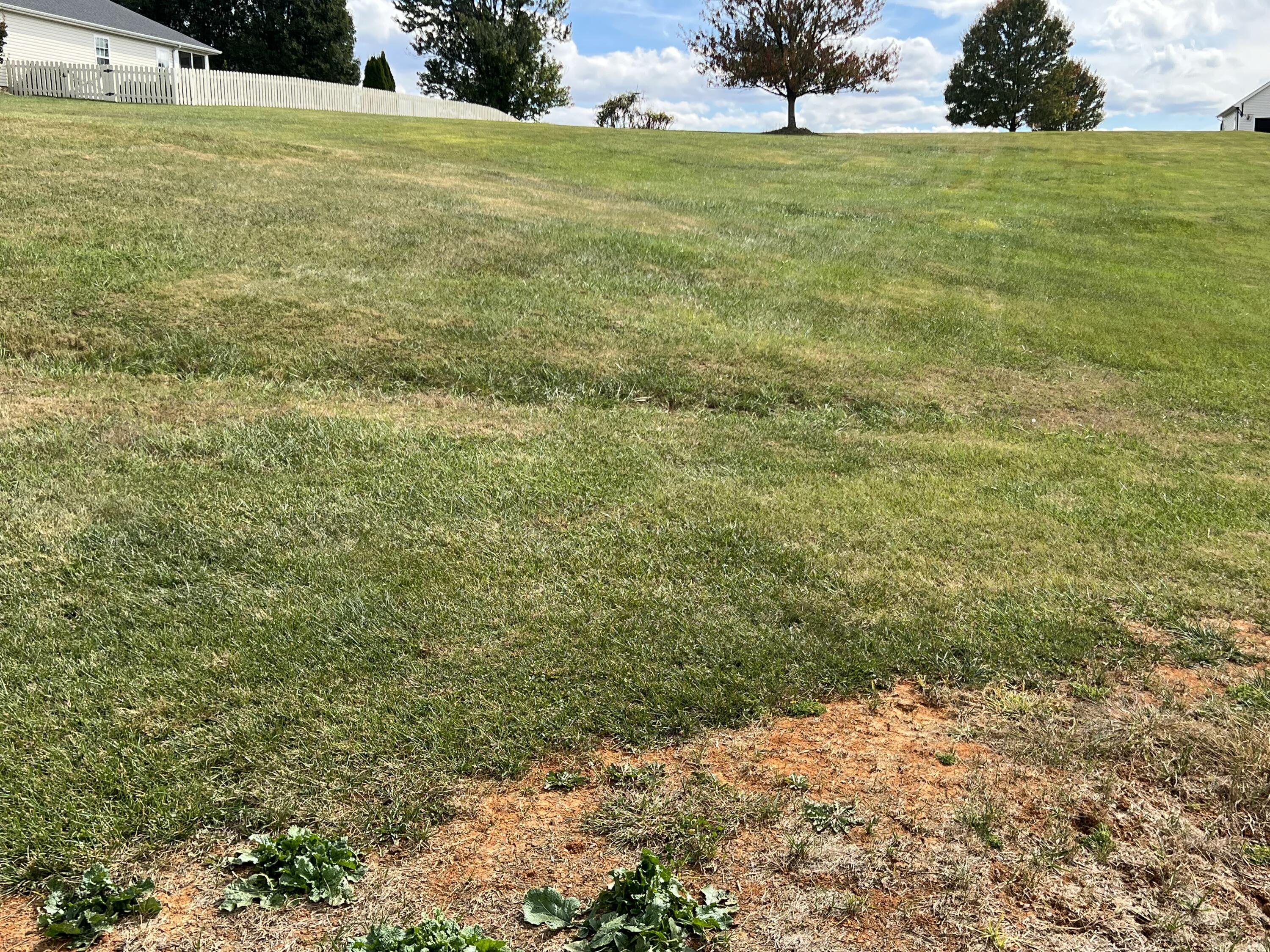 County Cork, Bristol, Virginia image 3