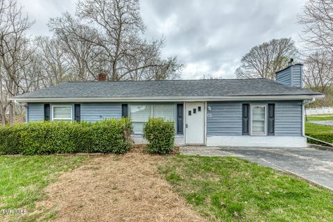 Photo of 441 Mimosa Street, Mount Carmel, TN 37645 (MLS # 9993249)
