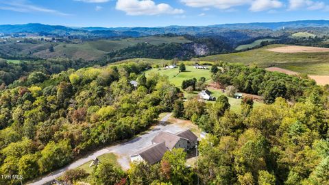 Tiny photo for 368 Clay Street, Castlewood, VA 24224 (MLS # 9986244)