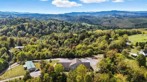 Tiny photo for 368 Clay Street, Castlewood, VA 24224 (MLS # 9986244)