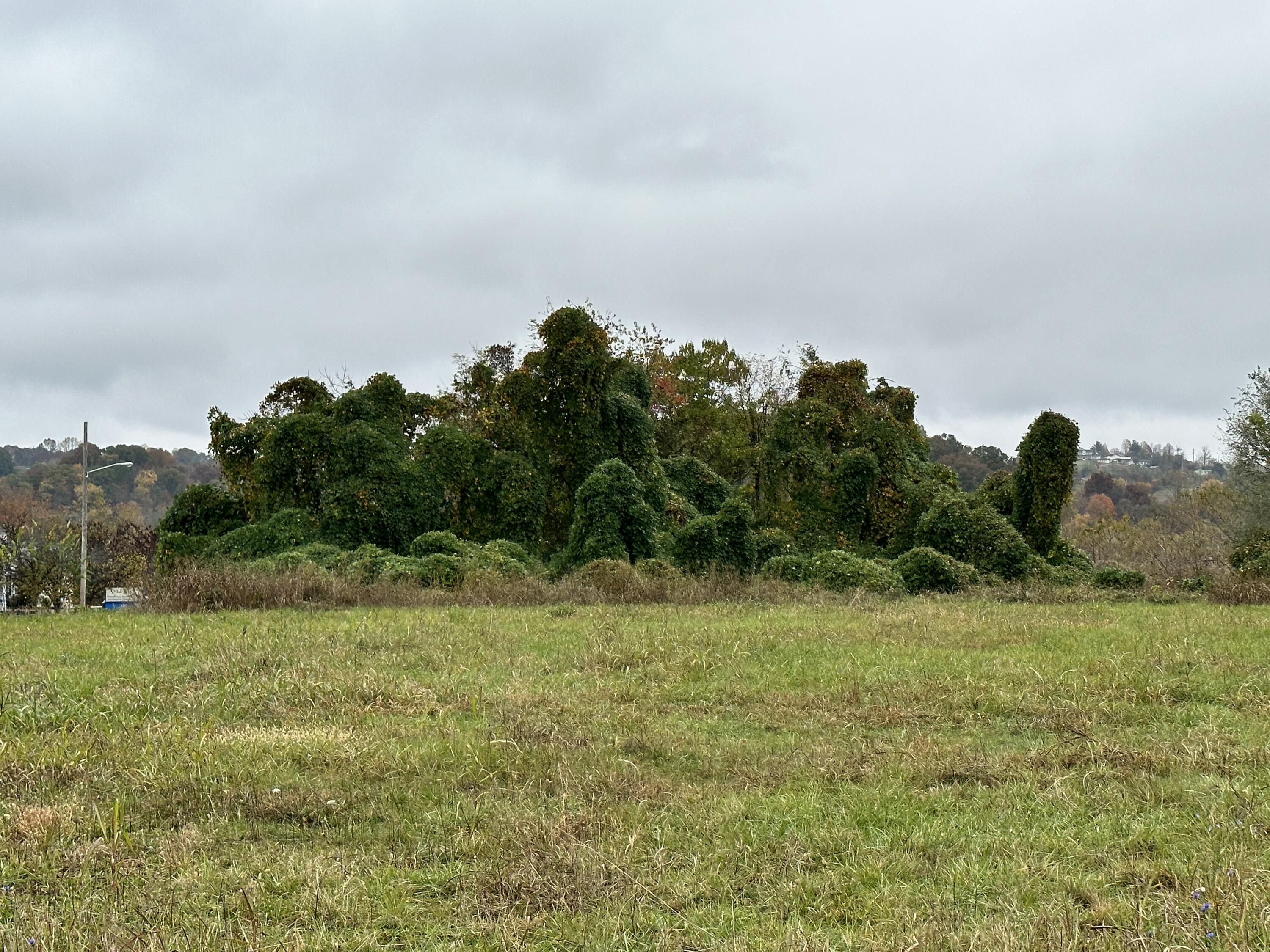 Elizabethton, Tennessee 37643, United States, ,Land,Pending,69163