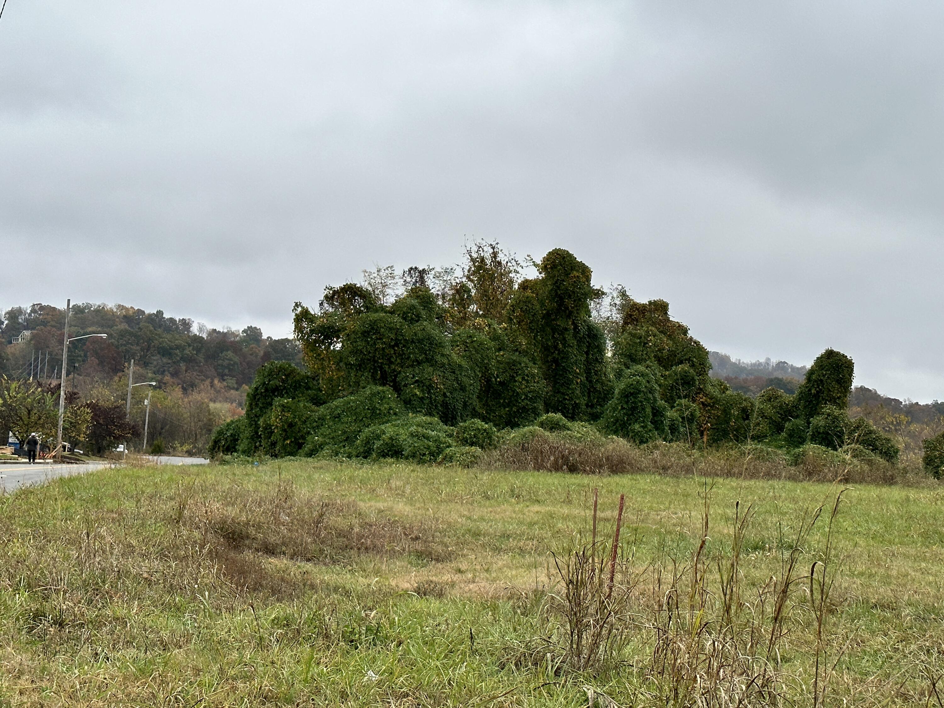 Elizabethton, Tennessee 37643, United States, ,Land,Pending,69163