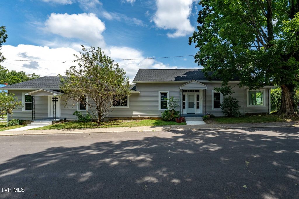 Photo of 1007 Spring Street, Johnson City, TN 37604 (MLS # 9990015)