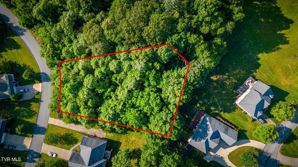 Photo of 280 Holland View Drive, Jonesborough, TN 37659 (MLS # 9996083)
