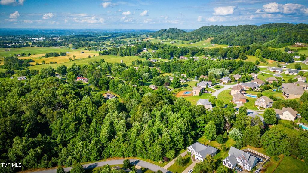 Photo of 280 Holland View Drive, Jonesborough, TN 37659 (MLS # 9996083)