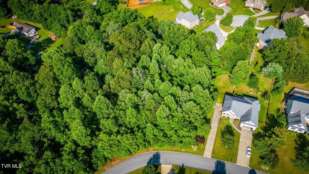 Photo of 280 Holland View Drive, Jonesborough, TN 37659 (MLS # 9996083)
