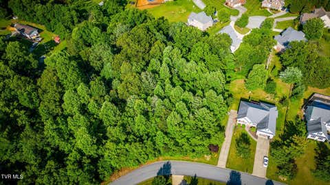 Vacant Land For Sale - 280 Holland View Drive<br/> Washington County, Jonesborough, TN 37659
