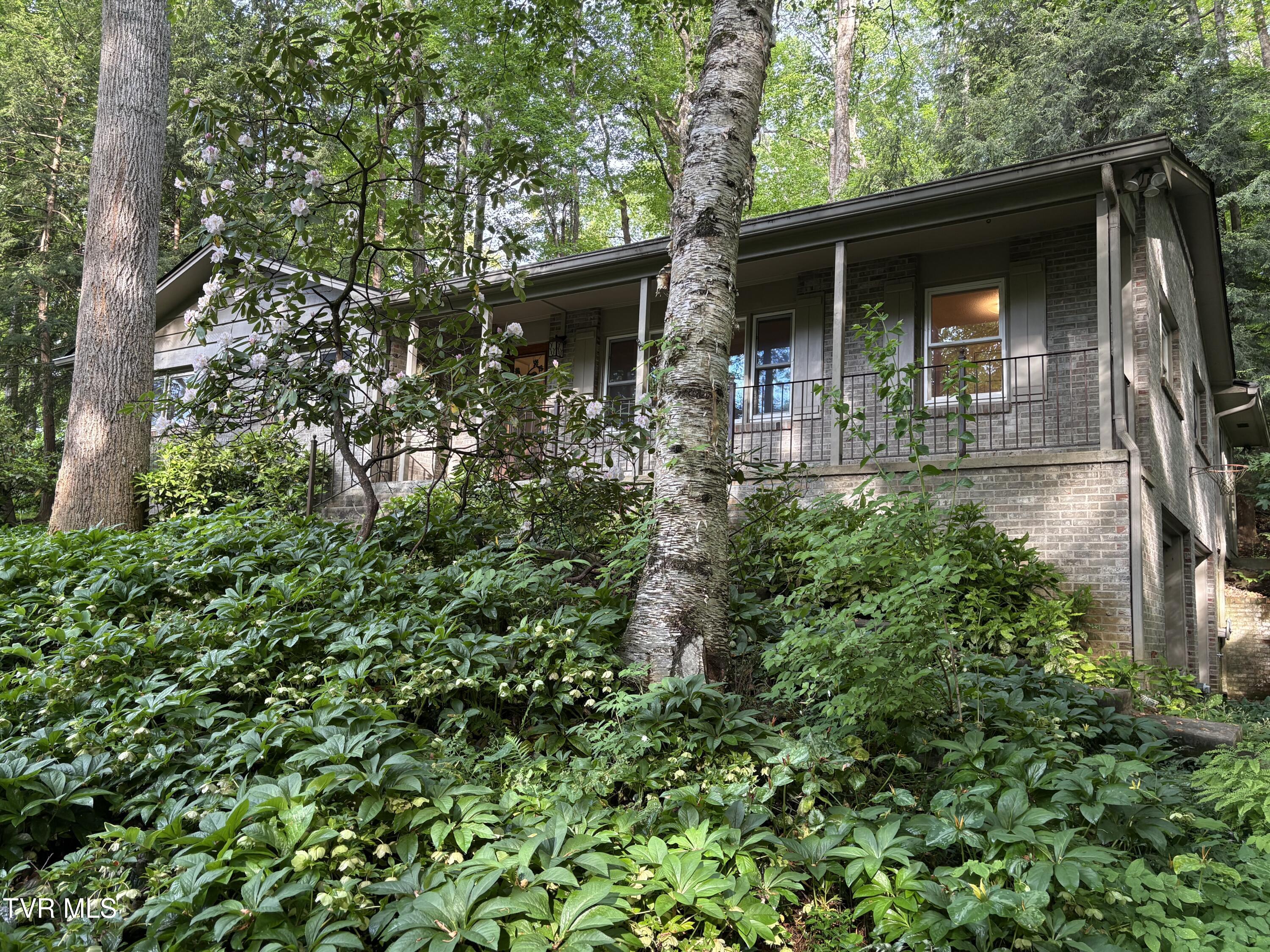 5 White Oak Court, Johnson City, Tennessee image 3