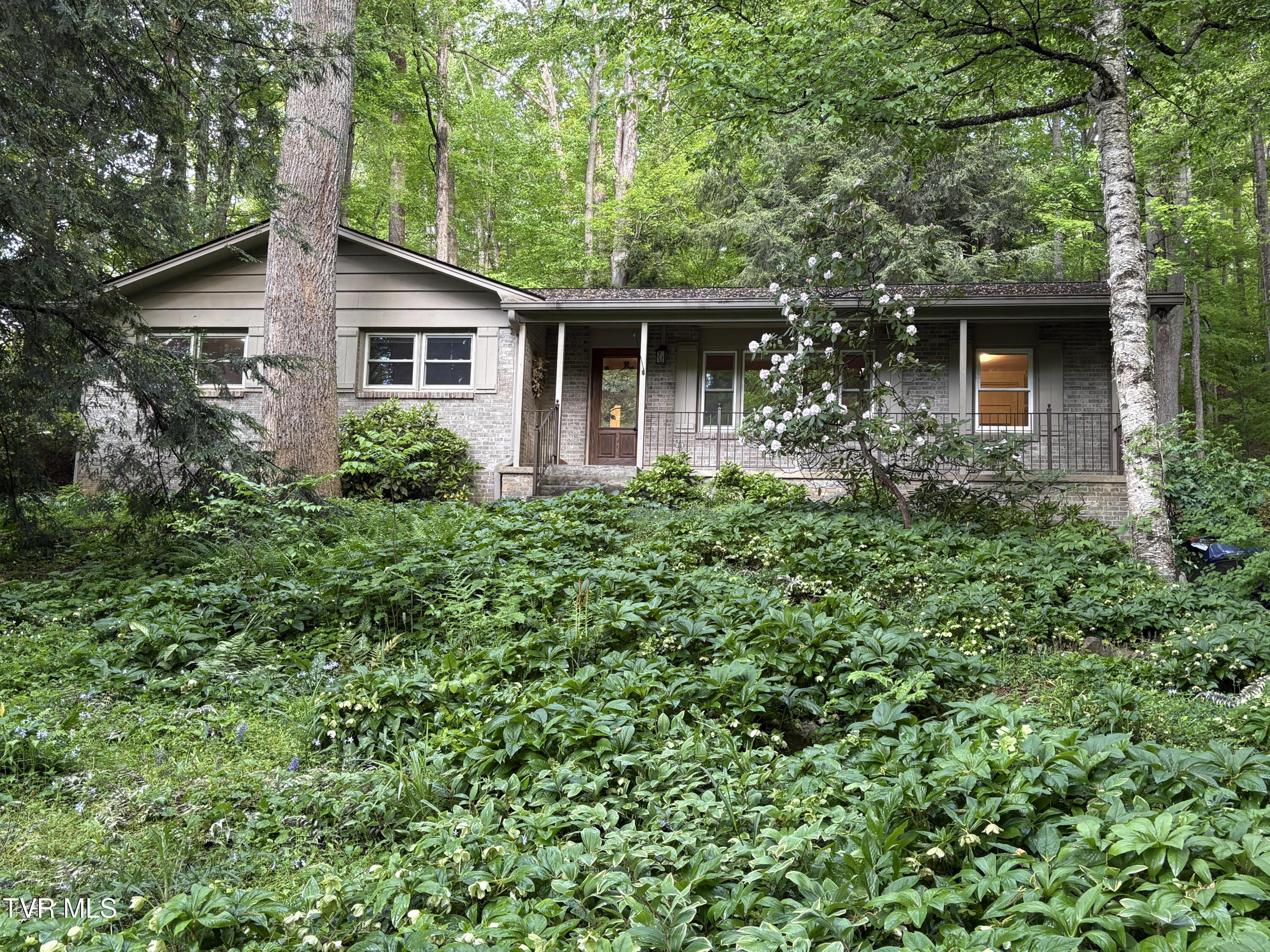 5 White Oak Court, Johnson City, Tennessee image 1
