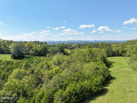 Tiny photo for 2 Union Road, Greeneville, TN 37745 (MLS # 9986410)