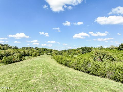 Tiny photo for 2 Union Road, Greeneville, TN 37745 (MLS # 9986410)