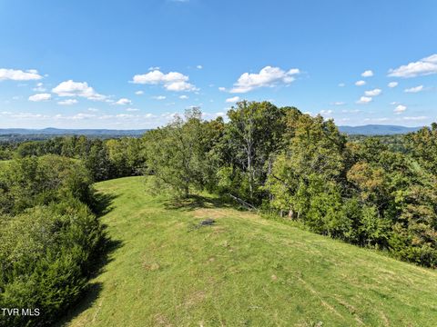 Tiny photo for 2 Union Road, Greeneville, TN 37745 (MLS # 9986410)