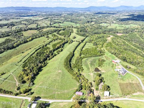 Tiny photo for 2 Union Road, Greeneville, TN 37745 (MLS # 9986410)