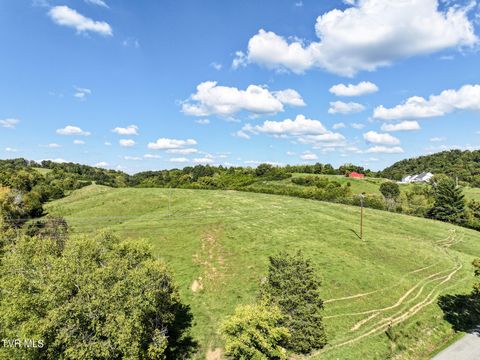 Tiny photo for 2 Union Road, Greeneville, TN 37745 (MLS # 9986410)