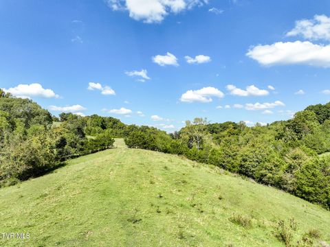 Tiny photo for 2 Union Road, Greeneville, TN 37745 (MLS # 9986410)