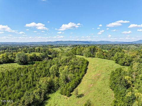 Tiny photo for 2 Union Road, Greeneville, TN 37745 (MLS # 9986410)