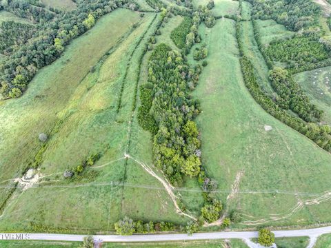 Tiny photo for 2 Union Road, Greeneville, TN 37745 (MLS # 9986410)