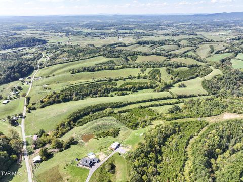 Tiny photo for 2 Union Road, Greeneville, TN 37745 (MLS # 9986410)