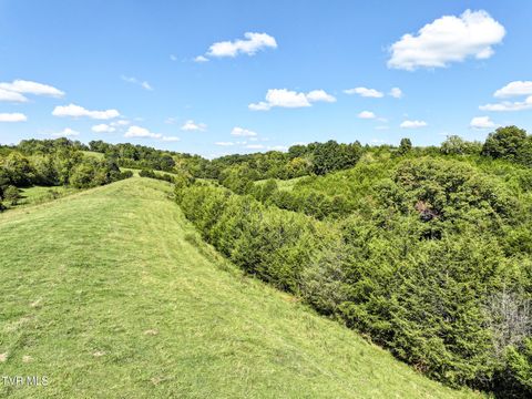Tiny photo for 2 Union Road, Greeneville, TN 37745 (MLS # 9986410)