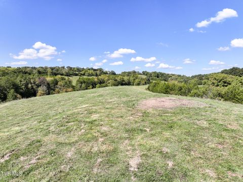 Tiny photo for 2 Union Road, Greeneville, TN 37745 (MLS # 9986410)