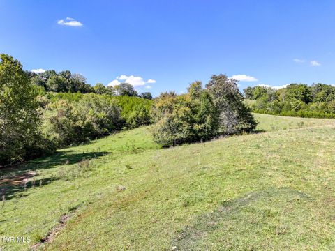 Tiny photo for 2 Union Road, Greeneville, TN 37745 (MLS # 9986410)