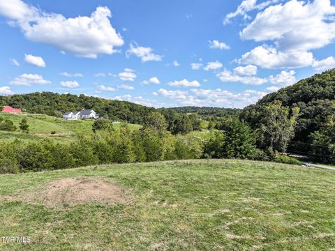 Tiny photo for 2 Union Road, Greeneville, TN 37745 (MLS # 9986410)