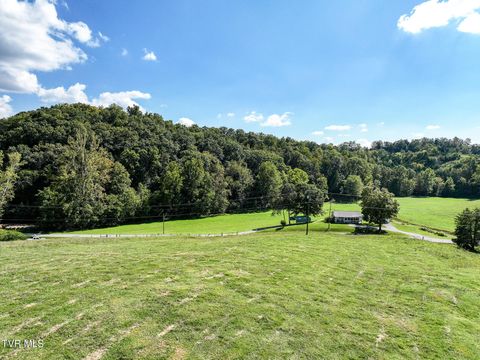 Tiny photo for 2 Union Road, Greeneville, TN 37745 (MLS # 9986410)